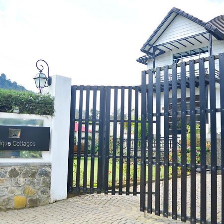 Unique Cottages Nuwara Eliya Bagian luar foto